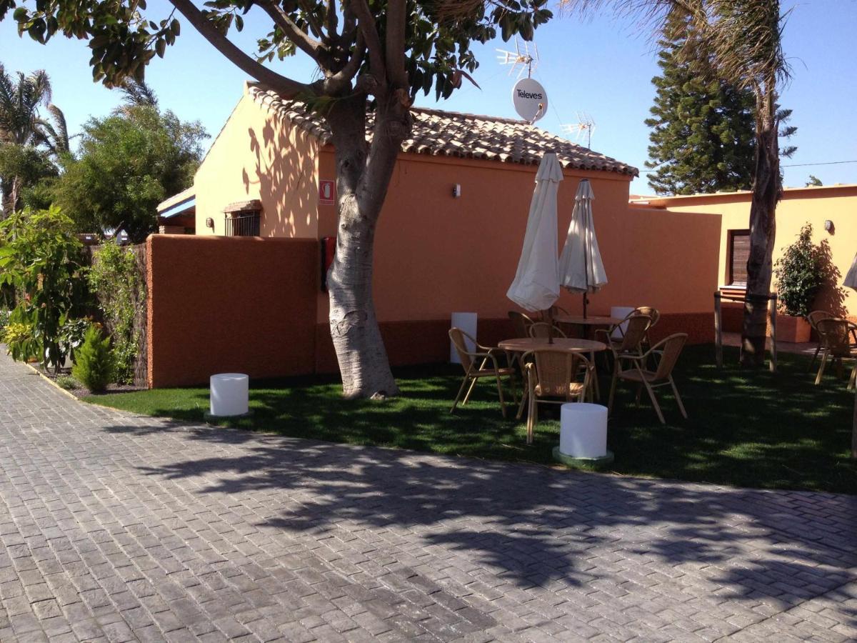 Estudio Con Jardincito Privado Barbacoa Y Piscina Cádiz Eksteriør bilde